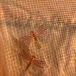 Las Olas Vintage  Orange Butterfly Appliqué Button Down Size M Photo 5
