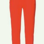Rag and Bone  red sweatpants L Photo 1