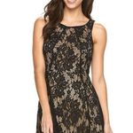 Dress Barn  Black Lace Overlay Dress  Photo 0