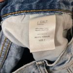 Brandy Melville John Galt Shorts Photo 2