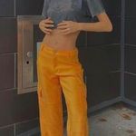 Tiger Mist Pants Photo 1