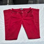 Tripp NYC Daang Goodman T back skull rivets skinny jeans sz 5 Photo 27