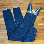 Madewell Women's Skinny Overalls: Eco Edition In Elmdale Wash Size Large NWT Photo 1
