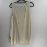 Eileen Fisher Long Silk Georgette Crepe Bateau Neck Long Shell Bone Size S Small Photo 3
