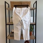 Talbots Mid-Rise Chatham Ankle White Woven Career Dress Pant Trouser, 10P Photo 3