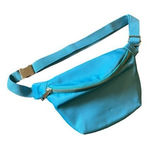 Pink Lily NWOT  Nylon Aqua with Gold Belt Bag w/ Adjustable Strap‎ Photo 0