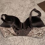 Vanity Fair Brown Black Leopard Print Bra Padded Underwire Photo 2