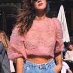 ZARA  Pink Tulle Puff Sleeve Sheer Top medium Photo 1