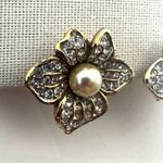 Attwood & Sawyer Crystal Orchid Clip Photo 3