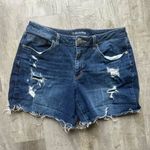 Maurice's  Size 16 Women’s Distressed Denim Shorts Photo 0
