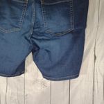 Lane Bryant  Dark Blue Denim Shorts Photo 8