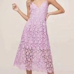 ASTR the Label Lace A Photo 1