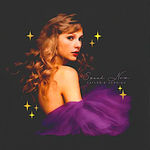 Taylor Swift *NWT* Official  Speak Now TV Tshirt-Med Photo 0