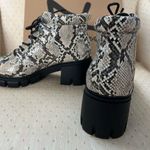 Dirty Laundry NO DOUBT faux leather snake embossed combat boots goth Photo 4