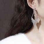 Women's Cubic Zirconia Diamond Long Tassel Dangle Drop Earrings Silver Photo 3