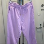 We Wore What Sweatpants in Lilac Photo 4