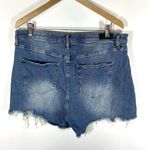 Nicole Miller  NOMAD‎ Super High Rise Classic Fit Shorts women’s Size 12 Photo 3