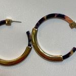 BaubleBar Bubblebar fashion earring 2 pc set Photo 6