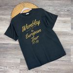 Brandy Melville vintage Wembley European tour 97-98 graphic tee Photo 0