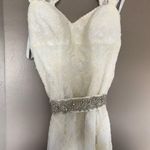 David's Bridal Lace Wedding Dress Photo 8