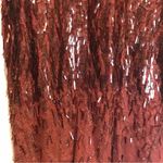 Gucci 2010 sequin lace dress Runway size IT38 Photo 4