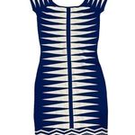 Jealous Tomato  Womans Bodycon Dress Photo 1