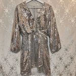 Anthropologie  Lisabette Sequined Mini Dress Silver Wrap Dress Small Photo 4