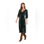 Johnny Was Natalia Silk Midi Dress Button Up Velvet Burnout Womens Small Green Photo 4