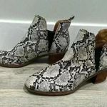 Dr. Scholls Dr. Scholl’s Amara Faux Snakeskin Ankle Boots Slip On Booties 2.5” Heel Size 6.5 Photo 8