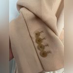 Babaton Aritzia blazer Photo 5