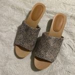 Madewell The Evelyn Slide Clog in Spotted Calf Hair Photo 3