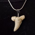 18K White Gold Plated Sharks Tooth Necklace Silver Photo 3