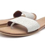 Seychelles  Smooth Operator Dress Flat Sandal in White Crackle Leather Size 7.5 Photo 15