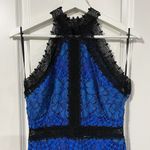 Alexis Size S Julianna Dress Blue Black Lace Halter Midi Bodycon High Neck Gown Photo 4