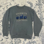 Brandy Melville  Yosemite Hoodie Photo 0