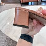 Bottega Veneta  Light Brown Leather Strappy Block Heel Sandal with Gold Buckle 8B Photo 11