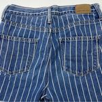 American Eagle  Pinstripe Cutoff Shorts Photo 1