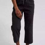 Athleta  Black Trekkie Straight Crop Hike Pant 10T Photo 0