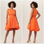 Trina Turk 💕💕 Sought After Dress High Low Bubble Hem Fire Island Orange XL NWT Photo 1