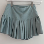 Gold Hinge  Skirt Pleated Photo 0