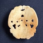 Vintage EUC hand carved bone pendant. 3 frogs “see, hear, speak no evil” Green Photo 3