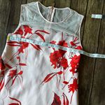 Ted Baker 🌹  London “Jaazmin” Fantasia Scallop Hem Floral Dress Size 2 (US 6) Photo 3