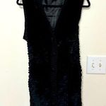 Dolce Cabo Wool and Rabbit Fur Blend Vest Size M Photo 0