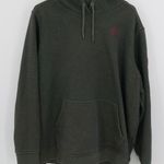 Carhartt  Relaxed Fit Pullover Hoodie Dark Green 2X Photo 0