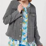 LOGO By Lori Goldstein 4/$25   Distressed Edges Denim Jacket Frayed Grey Sz 4 Photo 0