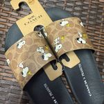 Coach X Peanuts Udele Sport Slide In Signature Canvas With Snoopy Print cbm96 Photo 2