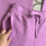 Members Mark Luxe Pant Lavender high waisted wide leg Pants, size medium Purple Photo 7