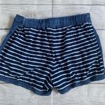 Splendid Navy Striped Women's Cotton Shorts Photo 1
