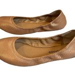 Lucky Brand Emile Leather Textured Ballet Flats in Copper, Sz 8 Photo 2