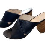 Cole Haan Grand Gabby Sandal Stacked Heel Shoes Black Leather wood slip on heel Photo 9